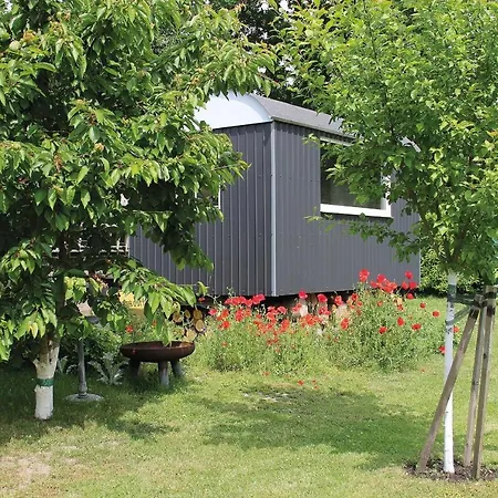 Cathrins Boddenblick