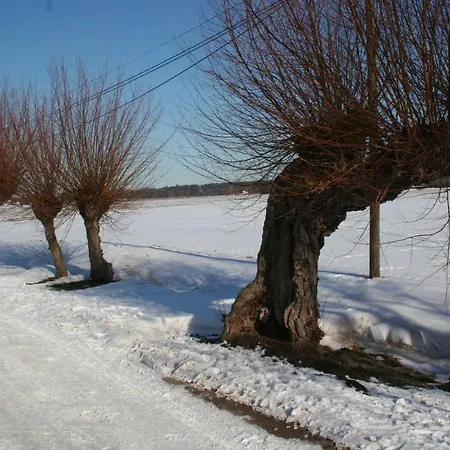 Cathrins Boddenblick Dom wakacyjny Wustrow (Fischland)