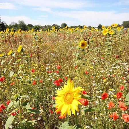 Cathrins Boddenblick