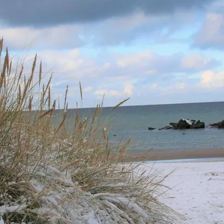 Cathrins Boddenblick