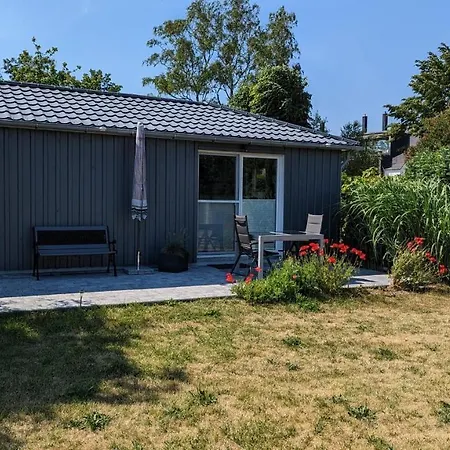 Cathrins Boddenblick