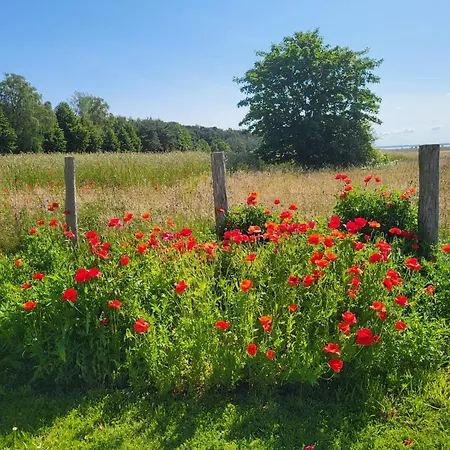 Cathrins Boddenblick Wustrow (Fischland)