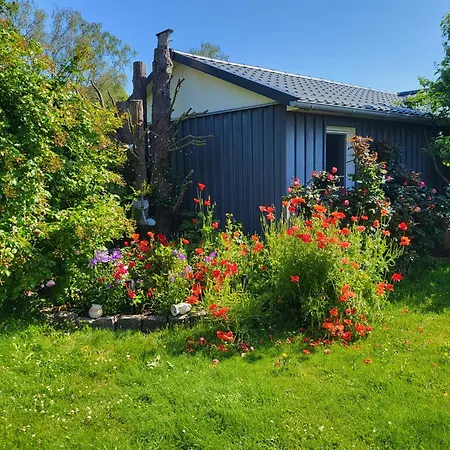 Cathrins Boddenblick * Wustrow (Fischland)